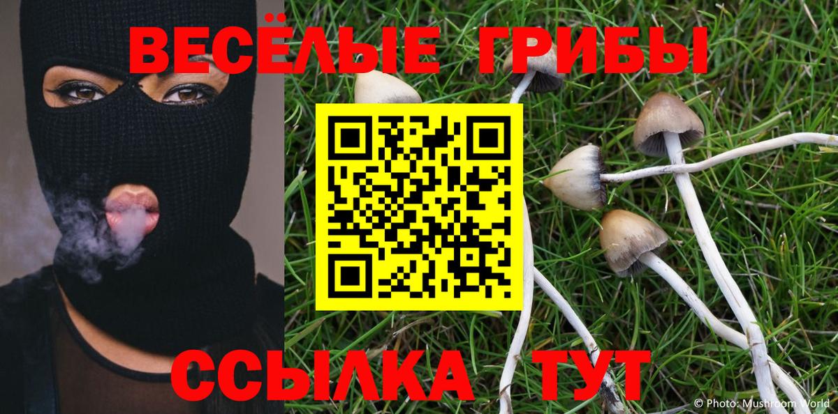 Выкса  что такое   Вход с VPN  Псилоцибиновые грибы мухоморы 