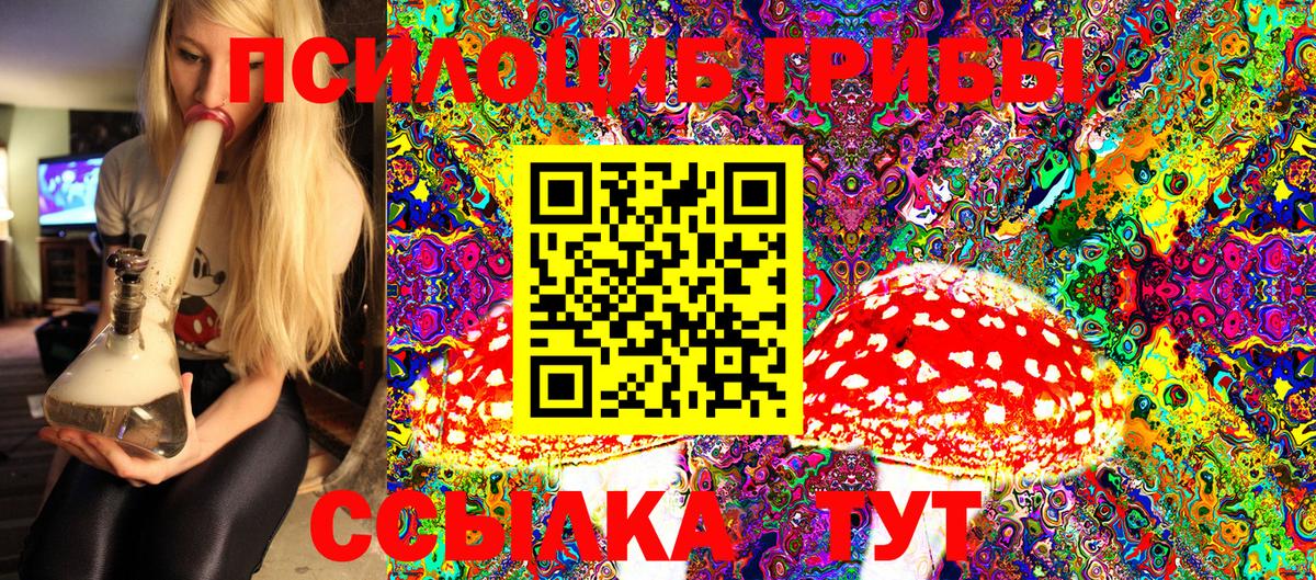 Псилоцибиновые грибы прущие грибы Выкса